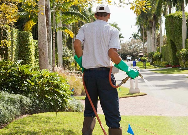About Rocky Ridge OH Pest Control